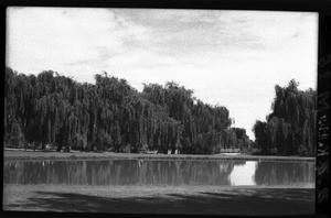 Pond and weeping willows, Johannesburg, South Africa, ca. 1933-1939