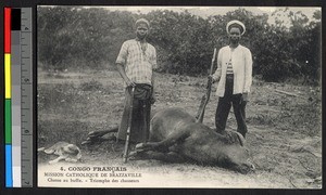 Hunters holding rifles and standing above a downed buffalo, Congo, ca.1920-1940