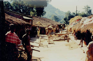 East Jeypore, South India. A village street in Mirabali, Rayagada