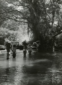 Travel in Gabon