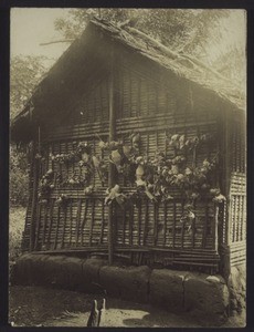 Hunting trophies hanging on a hunter's house