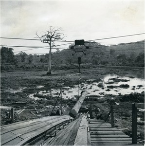 Factory of wood, in Cameroon