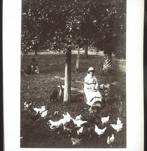 Maman donnant à manger aux poules