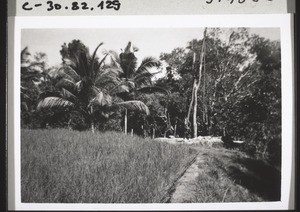 Well used to irrigate the rice field