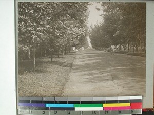 Main road, Antsirabe, Madagascar, ca.1908