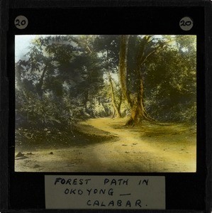 "Forest Path in Okoyong, Calabar", late 19th century