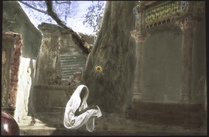 A widow makes an offering by the holy tree in Kali Ghat