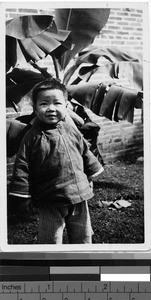 Child stands near banana tree, Loting, China, 1930