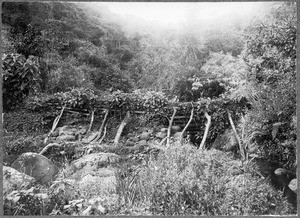 Dam, Moshi, Tanzania, ca. 1901-1910