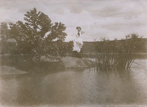 "Flight of an angel", in Madagascar