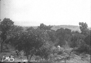Landscape near Elim, Limpopo, South Africa, ca. 1896-1911