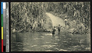 Children crossing a river, Kangu, Congo, ca.1920-1940