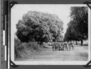 Seminarists among mango trees, Usoke, Unyamwezi, Tanzania