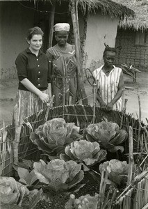 Growing of cabbages, in Mfoul, Gabon