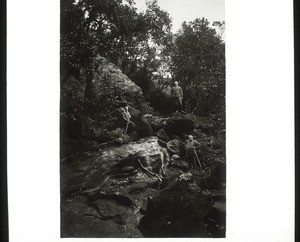 In the forest on Kudremukh