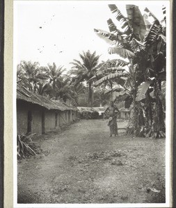 African village (Yabea) with palms