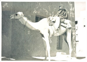 A man comes for treatment. Note the difference in travel mode (camel). The man can enjoy the vi