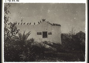 Turm des Schweigens', auf dem die Leichen von Aasgeiern gefressen werden. Indien