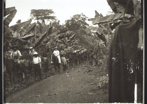 Party of travellers passing through a plantain farm