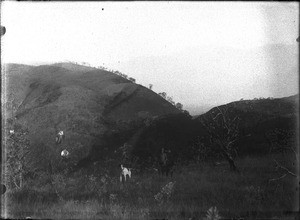 Landscape near Shilouvane, South Africa, ca. 1901-1907