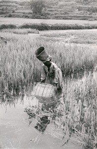 Fishing with a fish crap, in Madagascar