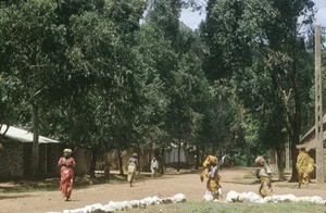 Streetscene, Ngaoundéré, Adamaoua, Cameroon, 1953-1968