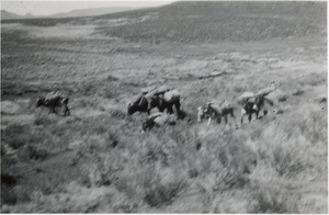 Transportation through the mountains