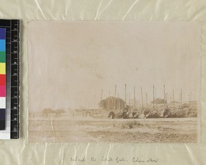 Ships and bridge near Quanzhou, Fujian Province, China, ca. 1888-1906