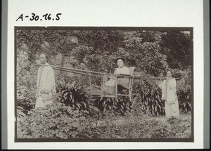 Carrying chair for inland journeys (without a protecting roof)