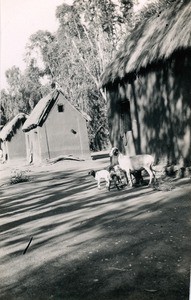 Village Morarano, in Madagascar