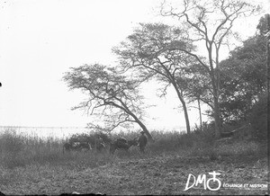 Lake Mandlene, Makulane, Mozambique, ca. 1896-1911