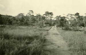 Road to the leper-house, in Oyem, Gabon