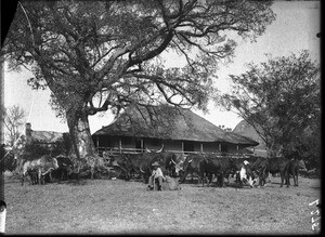 Mission house, Shilouvane, South Africa, ca. 1901-1907