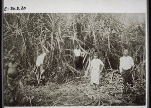 Clearing the area around a church near