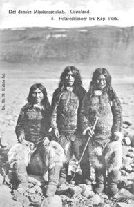 Polar Eskimos from Cape York, Greenland. Postcard No. 8 of the Danish Missionary Society