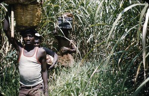 Carriers, Cameroon, 1953-1968