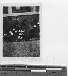 Maryknoll Sister near rose bush at Dalian, China, 1934