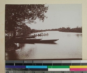 Canoes on the river bank near Ambodisiny, Madagascar, 1901