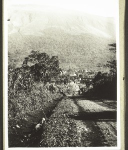 Buea and Cameroon Mountain seen from Soppo