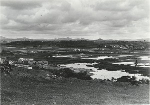 Ricefields in Ambohibao, Madagascar