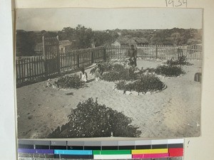 The garden at the Mission Station, Morombe, Madagascar, 1923-1928