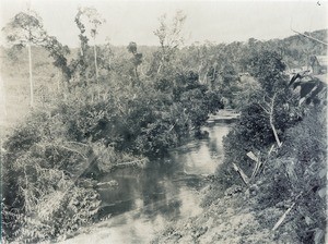 River Analamazastra, in Madagascar