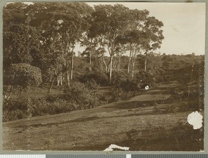 Kamara river, Chogoria, Kenya, ca.1923