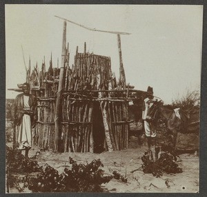 Wooden trap, Tanzania