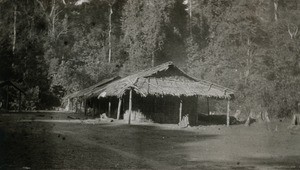 Hut in the forest, in Cameroon