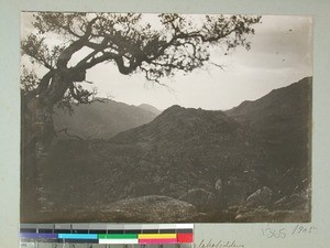 Ambatomenalaha Mountains, Ambato, Madagascar, 1905