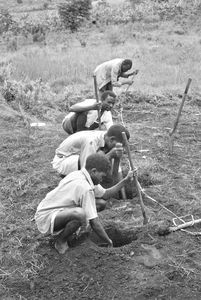 Ungdomslejr i Buhaya, Tanganyika (fra 1964 Tanzania). Lejrens opgave var at bygge nyt hus til læreren Kayungu. Der graves huller til pælene. (Anvendt i: Derude fra 1961, FDF pjece 1963 og Dansk Missionsblad nr 4/1962)