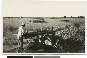 Sorting stones on the diamond field, South Africa