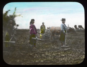 Four Chinese farmers working in a field, China, ca. 1918-1938