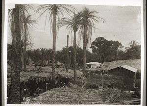 Obenyemi Markt